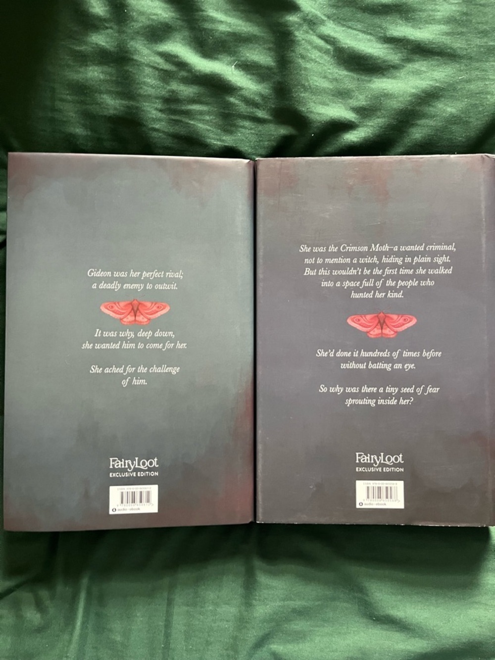 Fairyloot the Crimson Moth and The Rebel Witch - Picture 3 of 7
